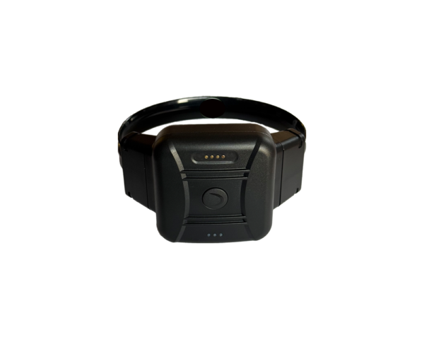 Electronic Ankle Monitor: 7 Critical Technology Advances (20