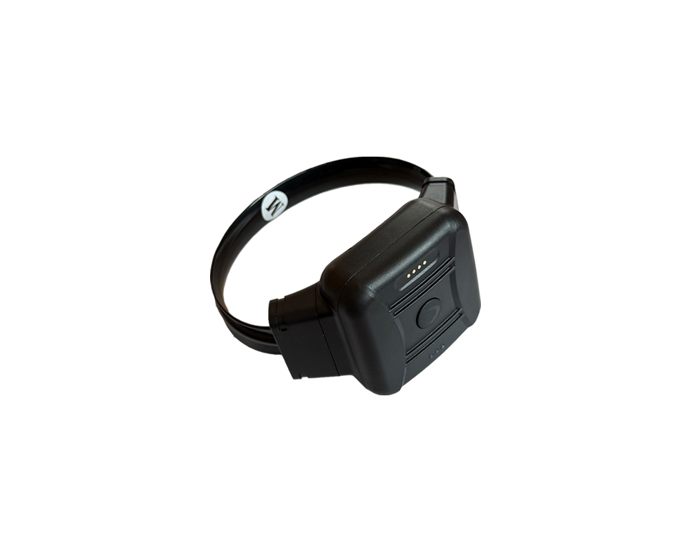CO-EYE ONE GPS ankle monitor product view showing compact 108g design with fiber-optic tamper detection strap for domestic violence offender monitoring